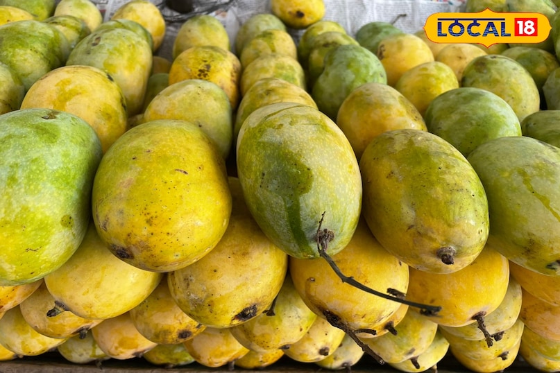 King of fruits mangoes 