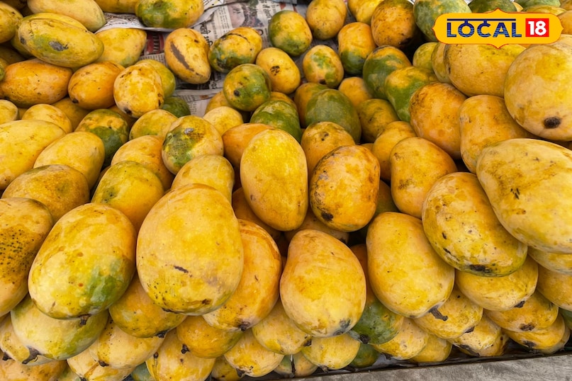 King of fruits mangoes 