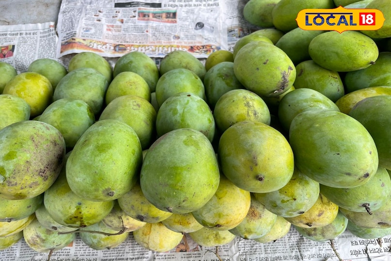King of fruits mangoes 