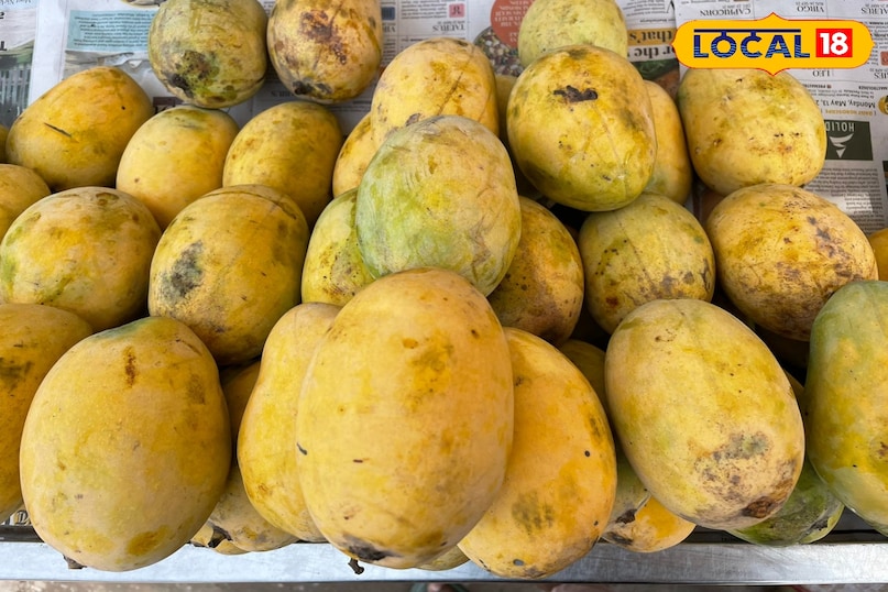 King of fruits mangoes 
