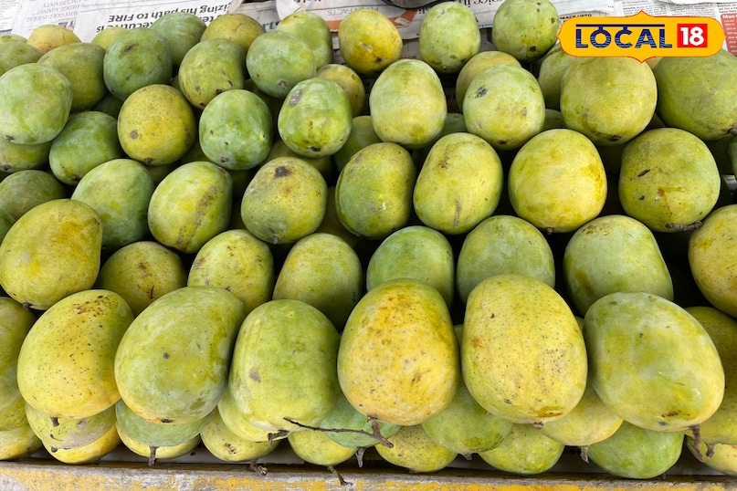 King of fruits mangoes 