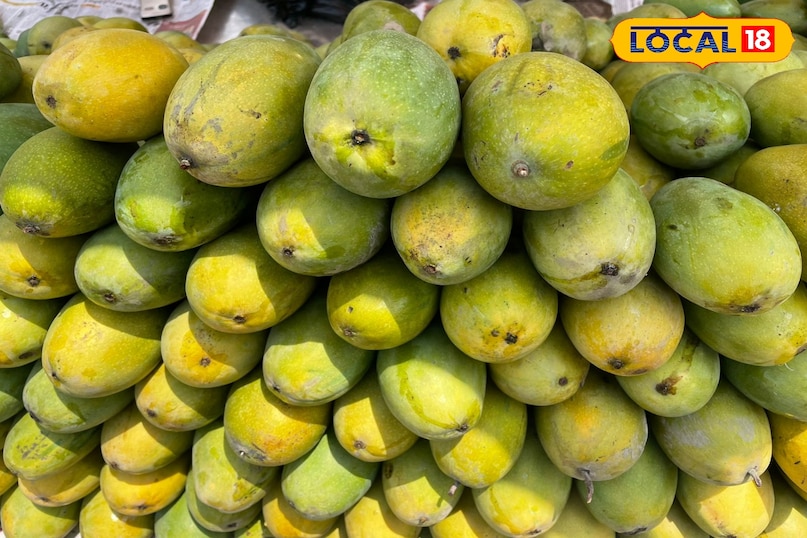 King of fruits mangoes 