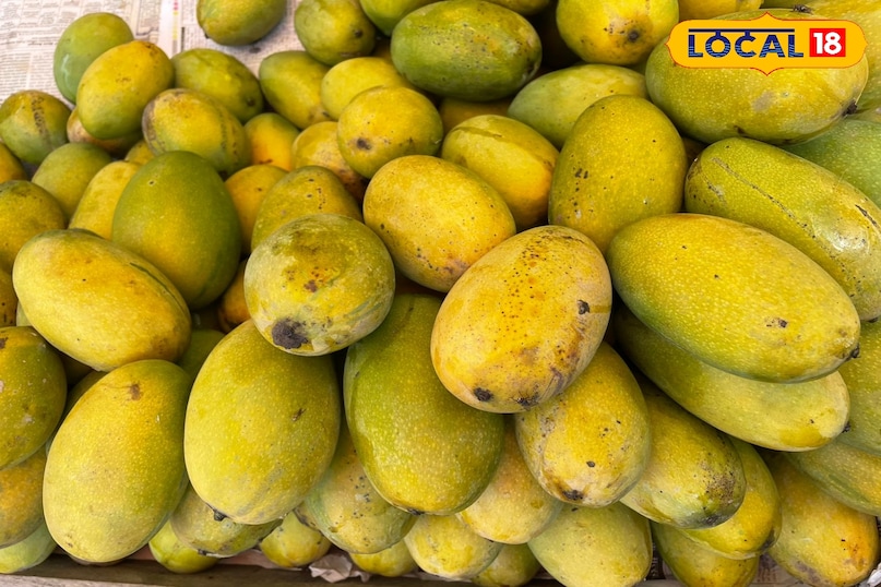 King of fruits mangoes 