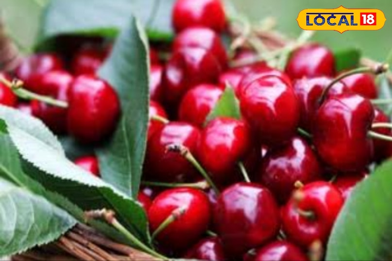 cherry cherry