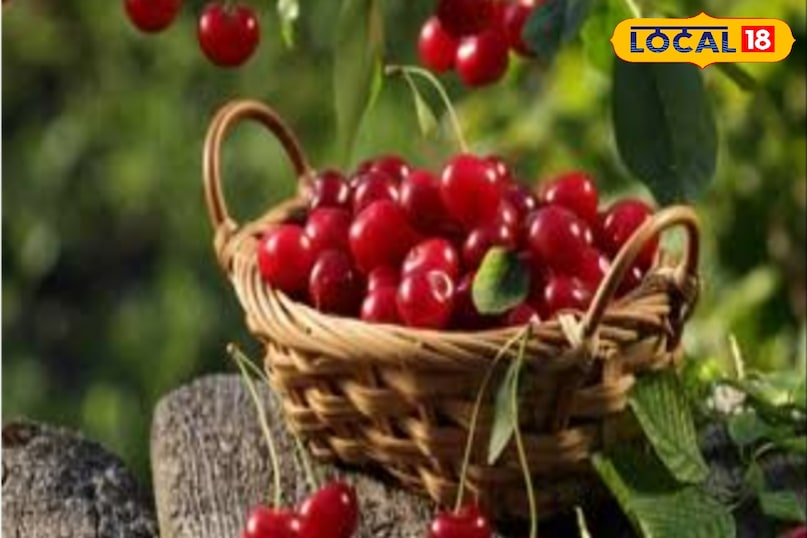 cherry cherry