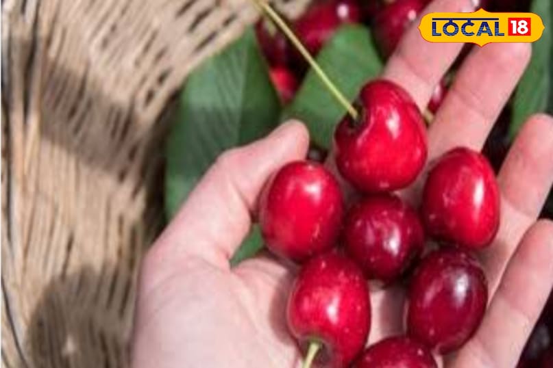 cherry cherry