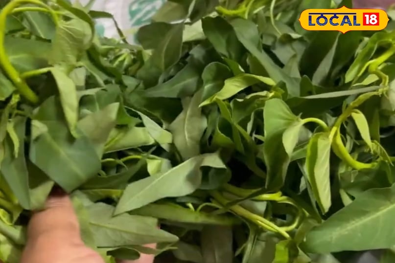 Benefits of eating women's greens, how to cook women's greens, how to grow women's greens, where the spinach of water is found, how the spinach of water is grown, local 18, benefits of eating nari ka saag, how to cook nari ka saag, how to Grow Nari Ka Saag, Water Is Water Spinach Found How to Grow Water Spinach, Local 18 Benefits of eating women's greens, how to cook women's greens, how to grow women's greens, where the spinach of water is found, how the spinach of water is grown, local 18, benefits of eating nari ka saag, how to cook nari ka saag, how to Grow Nari Ka Saag, Water Is Water Spinach Found How to Grow Water Spinach, Local 18