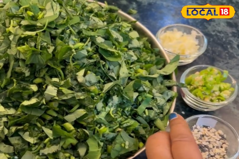 Benefits of eating women's greens, how to cook women's greens, how to grow women's greens, where the spinach of water is found, how the spinach of water is grown, local 18, benefits of eating nari ka saag, how to cook nari ka saag, how to Grow Nari Ka Saag, Water Is Water Spinach Found How to Grow Water Spinach, Local 18 Benefits of eating women's greens, how to cook women's greens, how to grow women's greens, where the spinach of water is found, how the spinach of water is grown, local 18, benefits of eating nari ka saag, how to cook nari ka saag, how to Grow Nari Ka Saag, Water Is Water Spinach Found How to Grow Water Spinach, Local 18