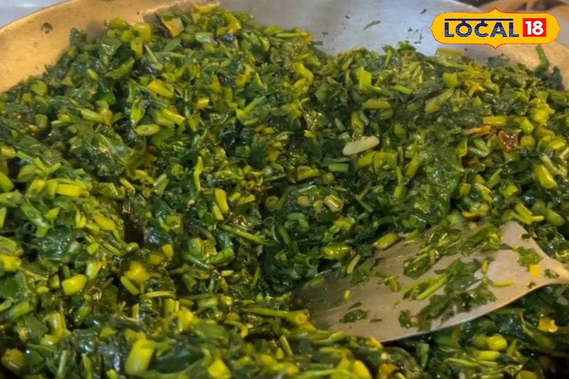 Benefits of eating women's greens, how to cook women's greens, how to grow women's greens, where the spinach of water is found, how the spinach of water is grown, local 18, benefits of eating nari ka saag, how to cook nari ka saag, how to Grow Nari Ka Saag, Water Is Water Spinach Found How to Grow Water Spinach, Local 18 Benefits of eating women's greens, how to cook women's greens, how to grow women's greens, where the spinach of water is found, how the spinach of water is grown, local 18, benefits of eating nari ka saag, how to cook nari ka saag, how to Grow Nari Ka Saag, Water Is Water Spinach Found How to Grow Water Spinach, Local 18