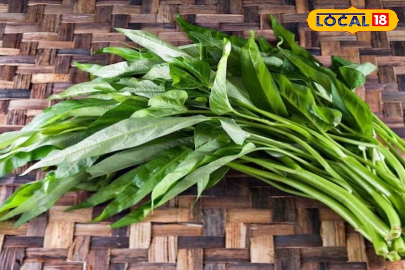 Benefits of eating women's greens, how to cook women's greens, how to grow women's greens, where the spinach of water is found, how the spinach of water is grown, local 18, benefits of eating nari ka saag, how to cook nari ka saag, how to Grow Nari Ka Saag, Water Is Water Spinach Found How to Grow Water Spinach, Local 18 Benefits of eating women's greens, how to cook women's greens, how to grow women's greens, where the spinach of water is found, how the spinach of water is grown, local 18, benefits of eating nari ka saag, how to cook nari ka saag, how to Grow Nari Ka Saag, Water Is Water Spinach Found How to Grow Water Spinach, Local 18