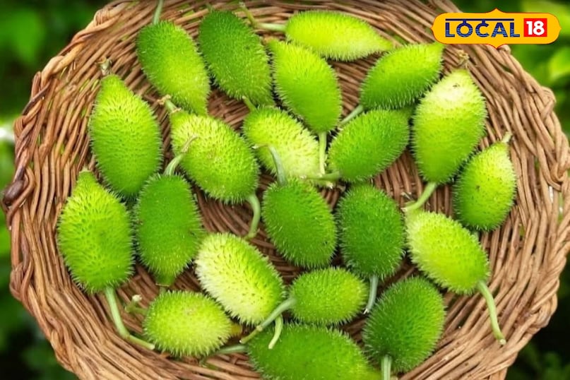 Food, Food Ideas, Bitter Gourd, Home Tips, Food Tips, Homemade Tips, Home Remedy, Home Tips, Dadi Nani's prescriptions, kitchen tips, Local 18, Jamui, Bihar 