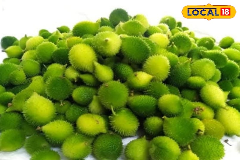 Food, Food Ideas, Bitter Gourd, Home Tips, Food Tips, Homemade Tips, Home Remedy, Home Tips, Dadi Nani's prescriptions, kitchen tips, Local 18, Jamui, Bihar 