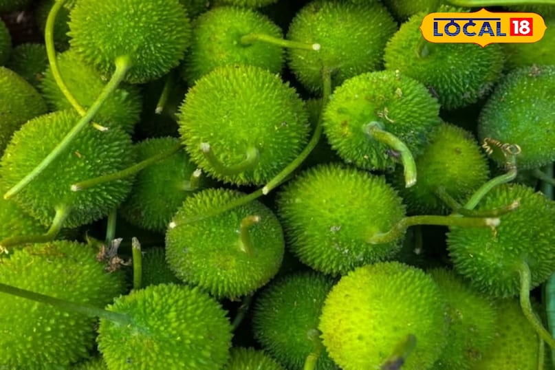 Food, Food Ideas, Bitter Gourd, Home Tips, Food Tips, Homemade Tips, Home Remedy, Home Tips, Dadi Nani's prescriptions, kitchen tips, Local 18, Jamui, Bihar 