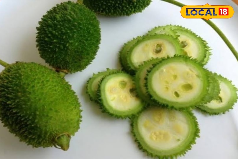 Food, Food Ideas, Bitter Gourd, Home Tips, Food Tips, Homemade Tips, Home Remedy, Home Tips, Dadi Nani's prescriptions, kitchen tips, Local 18, Jamui, Bihar 