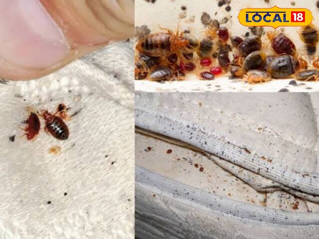 The smell coming from clothes, the fungus happening from moisture? Put two drops of it while washing!