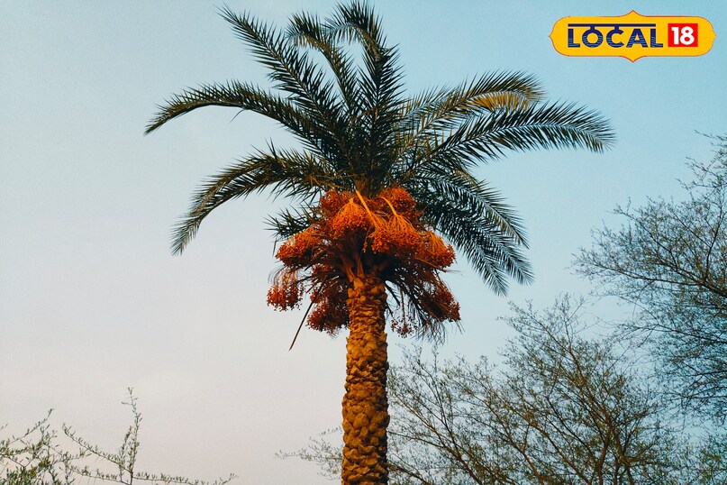 Chhatarpur Chhatarpur