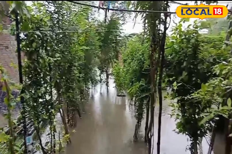 नदियां उफान पर