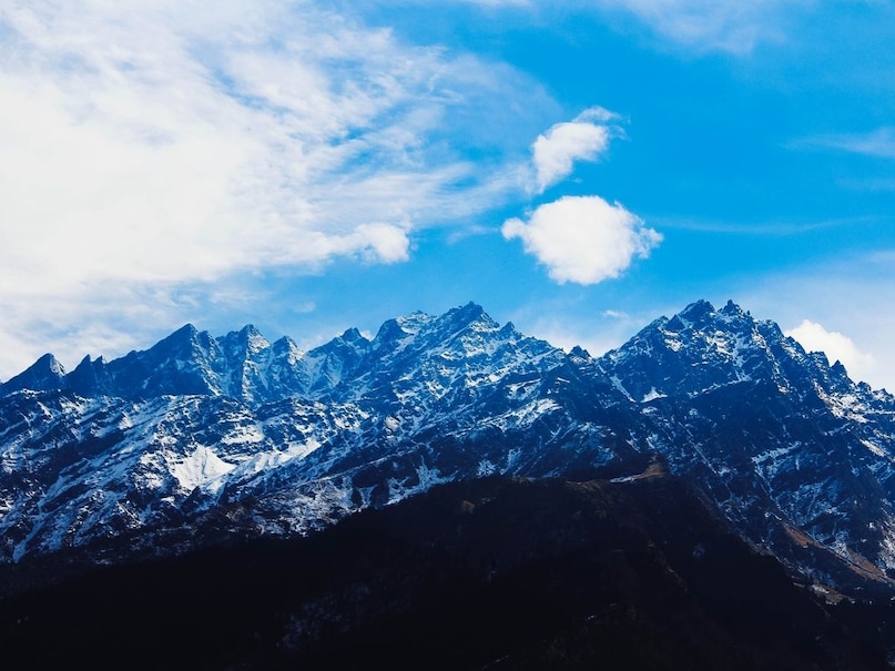 This special herb is found in Uttarakhand This special herb is found in Uttarakhand