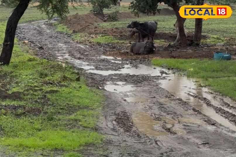 panchayat panchayat