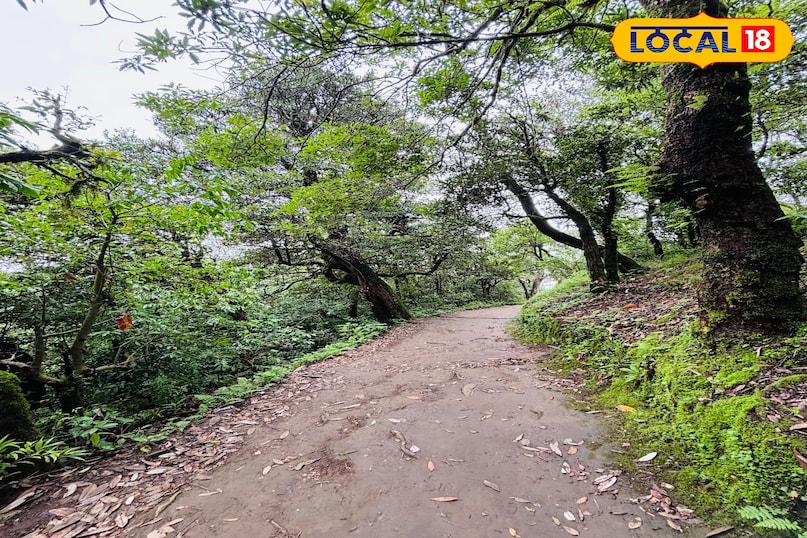 Length of trek and features of the route Length of trek and features of the route