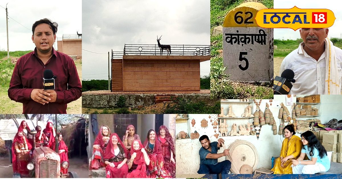मेरा गांव मेरी मिट्टी: जहां हिरणों के लिए जान दे देते लोग, जोधपुर का ...