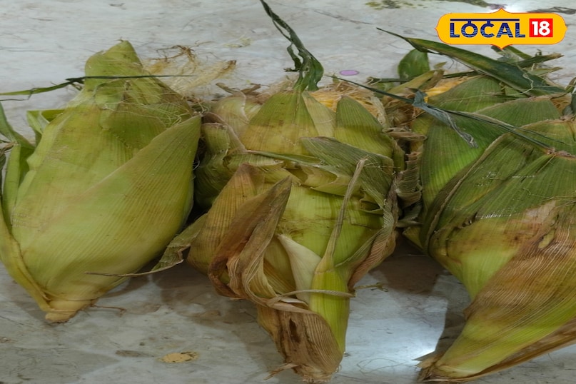 Maize 