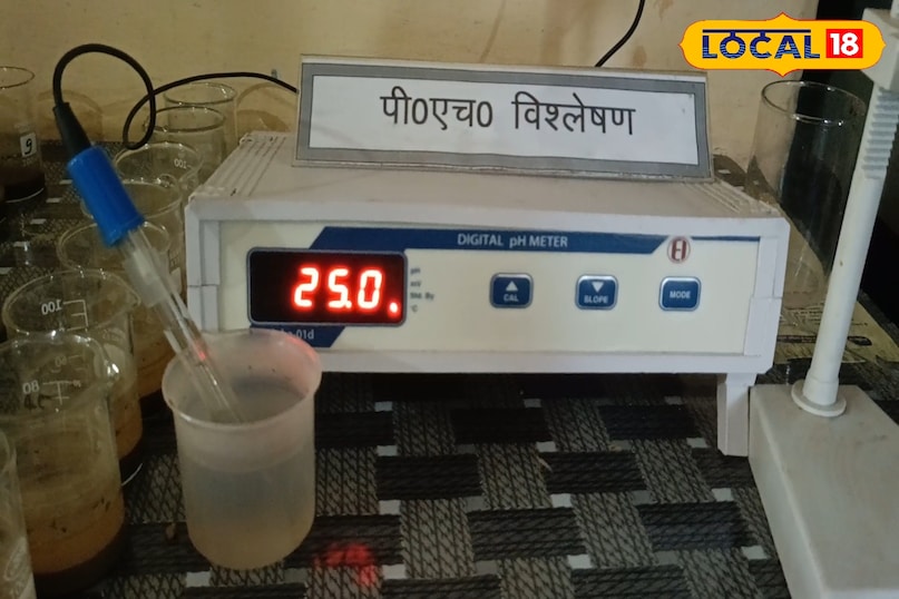 धान की फसल में जिंक की कमी की पहचान कैसे करें, धान में जिंक की आपूर्ति कैसे करें, धान की फसल में जिंक डालने के फायदे, धान की फसल से ज्यादा उत्पादन कैसे लें, धान की फसल में पोषक तत्वों की कमी को कैसे पहचानें, लोकल 18, How to identify zinc deficiency in paddy crop, how to supply zinc in paddy, benefits of adding zinc to paddy crop, how to get more production from paddy crop, how to identify nutrient deficiency in paddy crop, Local 18 धान की फसल में जिंक की कमी की पहचान कैसे करें, धान में जिंक की आपूर्ति कैसे करें, धान की फसल में जिंक डालने के फायदे, धान की फसल से ज्यादा उत्पादन कैसे लें, धान की फसल में पोषक तत्वों की कमी को कैसे पहचानें, लोकल 18, How to identify zinc deficiency in paddy crop, how to supply zinc in paddy, benefits of adding zinc to paddy crop, how to get more production from paddy crop, how to identify nutrient deficiency in paddy crop, Local 18