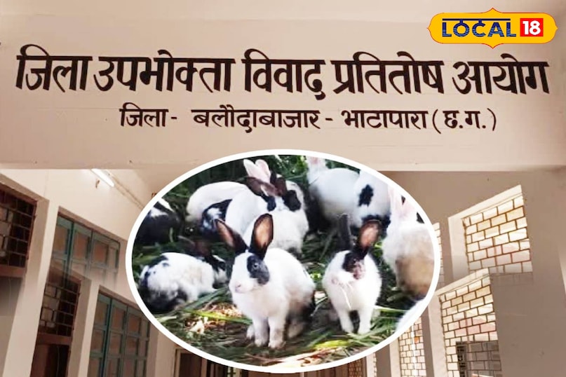 अजब - गजब: बीमार खरगोशों ने कराई 28 हजार की वसूली: उपभोक्ता ने जीता फार्म के खिलाफ केस 