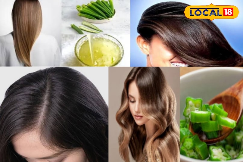 Increased humidity during the rainy season also increases hair problems such as hair fall, dry scalp and dandruff. In such a situation, okra is a great natural remedy for hair care. Let's know how Increased humidity during the rainy season also increases hair problems such as hair fall, dry scalp and dandruff. In such a situation, okra is a great natural remedy for hair care. Let's know how