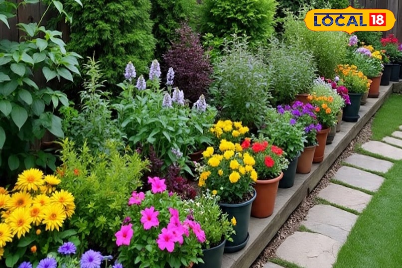 Monsoon plant care, Rainy season plant care, How to protect plants in monsoon, Monsoon gardening tips, Rainy season gardening, Monsoon tips for indoor plants, local18, khargone letest news, Madhya Pradesh hindi news, tips and tricks 