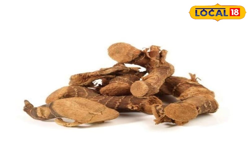 Benefits of Kulajan Benefits of Kulajan