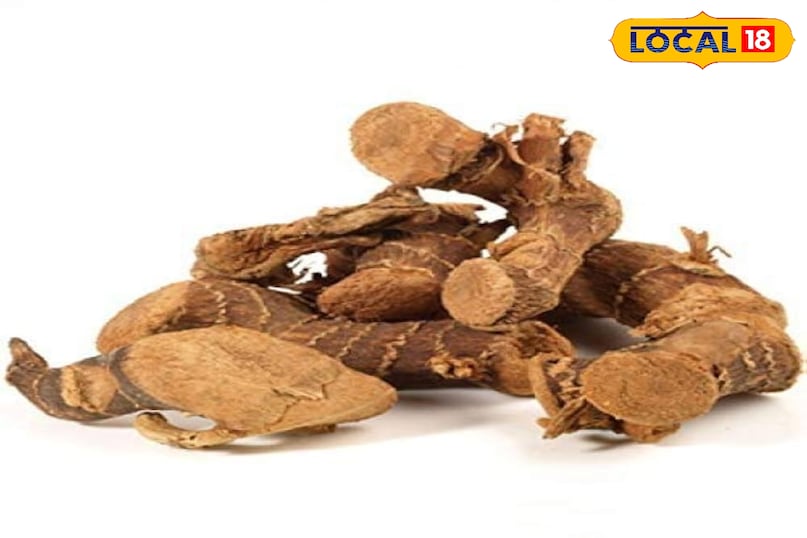 Benefits of Kulanjan Benefits of Kulanjan