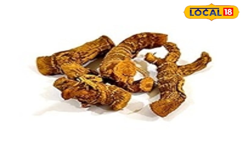 Benefits of Kulanjan Benefits of Kulanjan