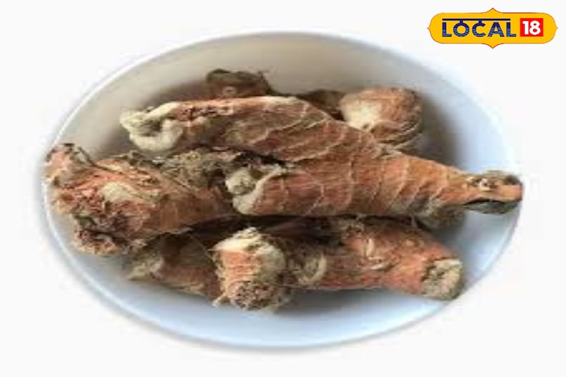 Benefits of Kulanjan Benefits of Kulanjan