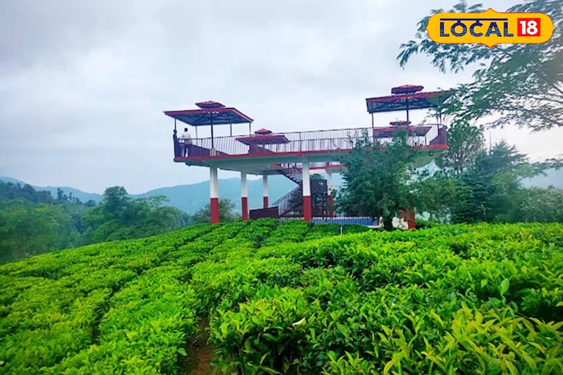 Tea Garden Champawat Tea Garden Champawat