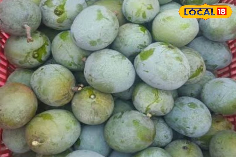 News18 News18
