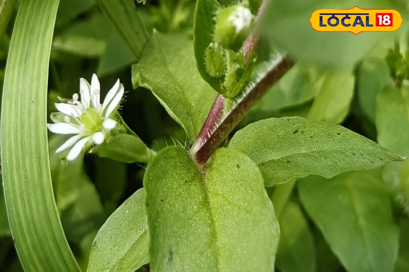सावधानी बरते 