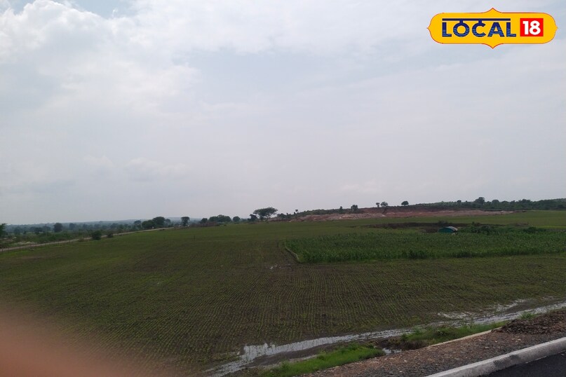 मौसम सागर अलर्ट मौसम सागर अलर्ट