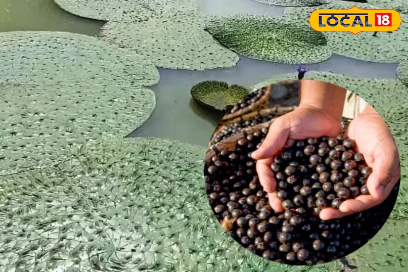 किसानों के लिए वरदान किसानों के लिए वरदान