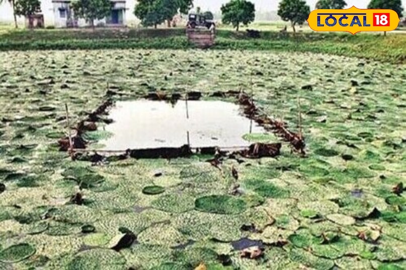 खेती पर भरोसा बढ़ेगा खेती पर भरोसा बढ़ेगा