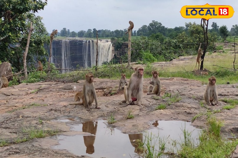 Chhatarpur Tourist Place Chhatarpur Tourist Place