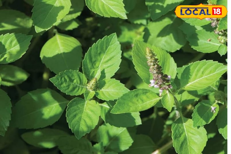Use in serious diseases
