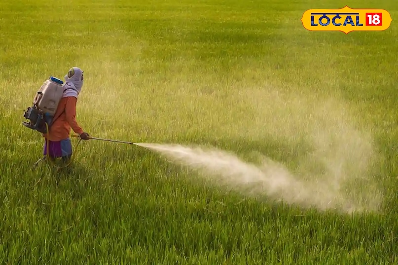 Pesticide color code India, Toxic pesticide label, Farming pesticide safety, Red triangle pesticide meaning, triangle pesticide meaning, agriculture tips Pesticide color code India, Toxic pesticide label, Farming pesticide safety, Red triangle pesticide meaning, triangle pesticide meaning, agriculture tips