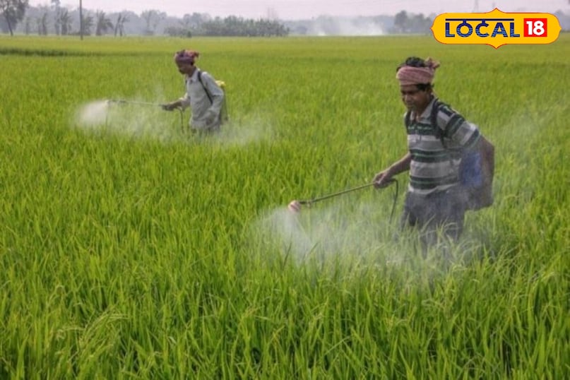 Pesticide color code India, Toxic pesticide label, Farming pesticide safety, Red triangle pesticide meaning, triangle pesticide meaning, agriculture tips Pesticide color code India, Toxic pesticide label, Farming pesticide safety, Red triangle pesticide meaning, triangle pesticide meaning, agriculture tips