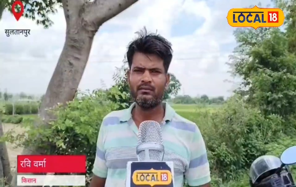इस सब्जी की खेती से किसान बन गया मालामाल! मामूली लागत में हो रही लाखों की कमाई, जानिए तरीका