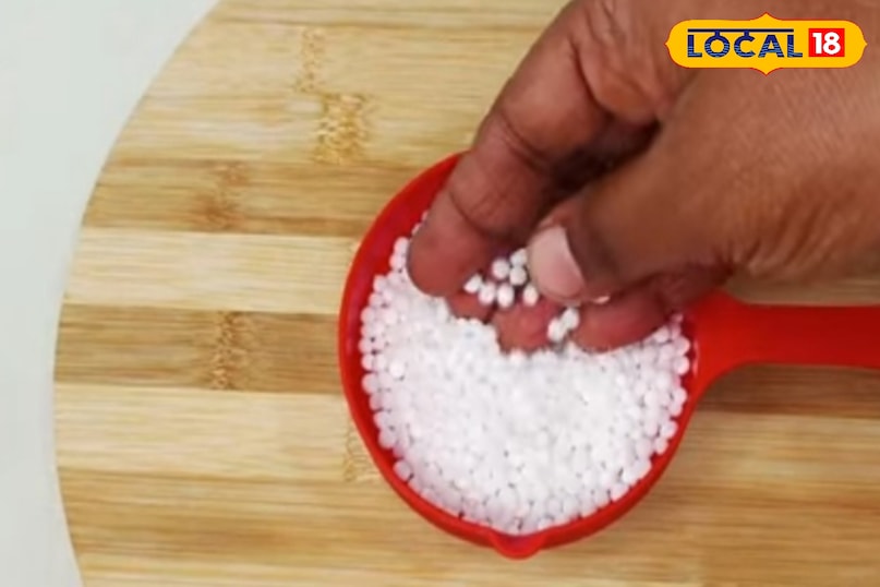 Sago cheela. Sago cheela.