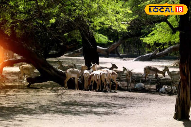 Hauz khas village 