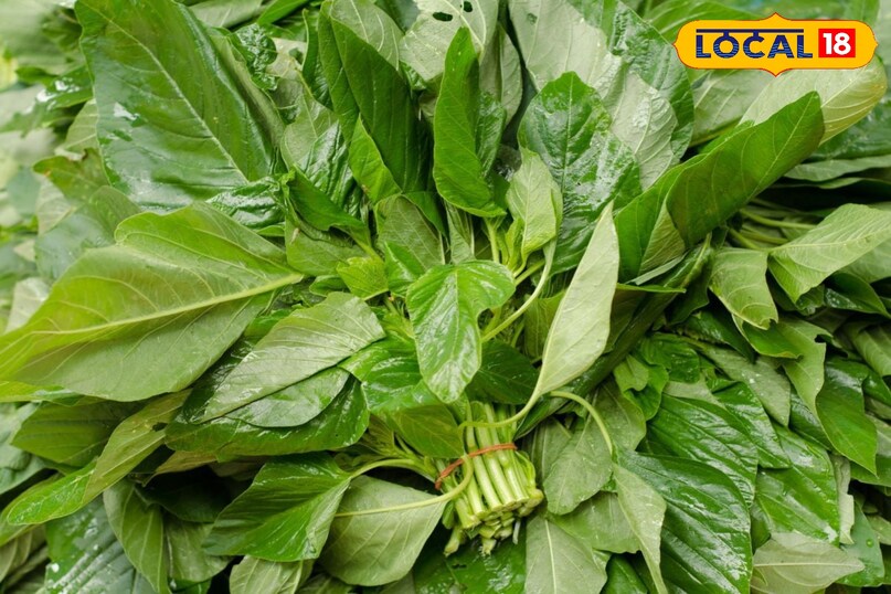 moradabad news,hindi news,up news,local news, मुरादाबाद समाचार, हिंदी समाचार, यूपी समाचार, लोकल समाचार। 