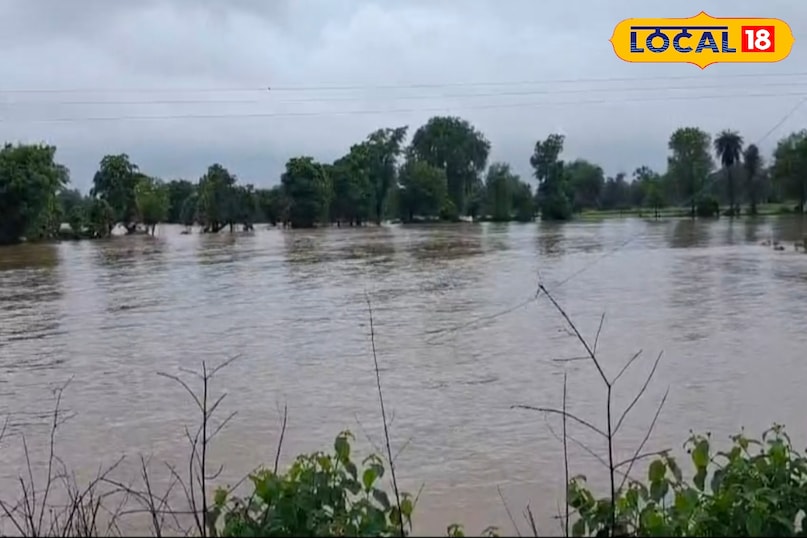 हर 15 मिनट में होता अपडेट