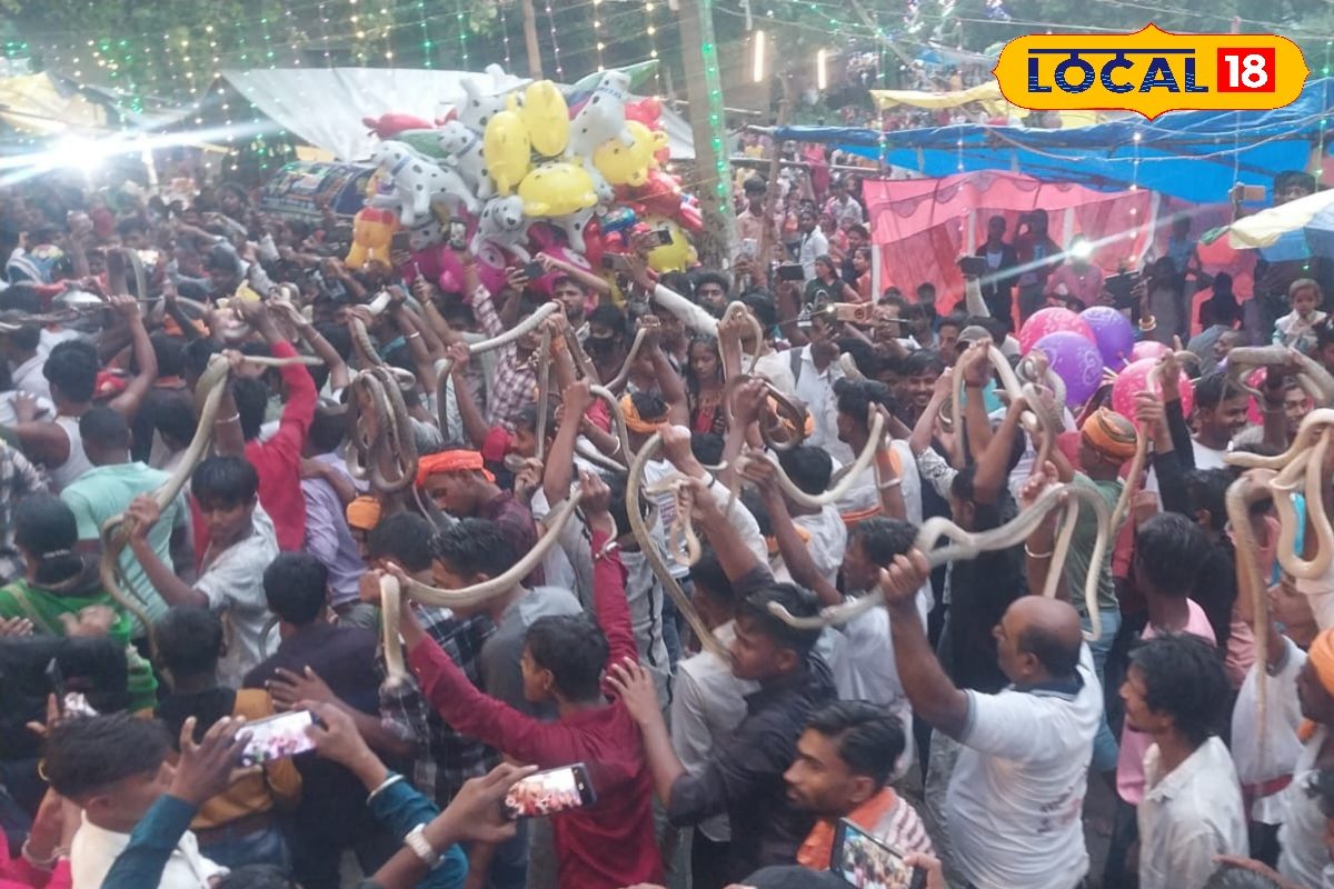 किसी के हाथ में सांप, किसी के गले में...नागपंचमी पर जीवन और जानवरों से खेल!